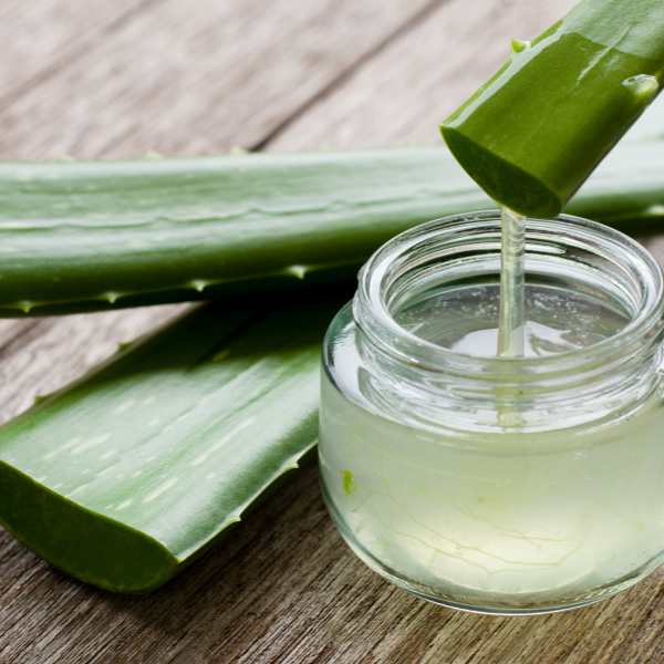 Organic Aloe Vera